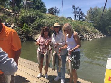 Chico Report Photo 4