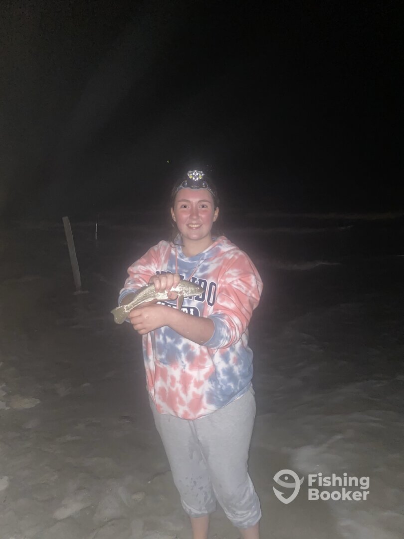 New Smyrna Beach Report Photo 0