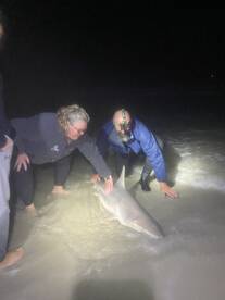 New Smyrna Beach Report Photo 1