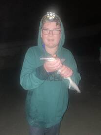 New Smyrna Beach Report Photo 2