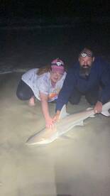 New Smyrna Beach Report Photo 2