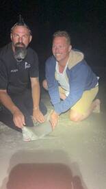 New Smyrna Beach Report Photo 2