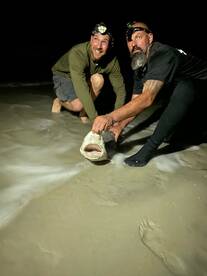 New Smyrna Beach Report Photo 1