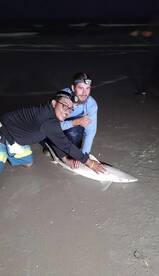 New Smyrna Beach Report Photo 2
