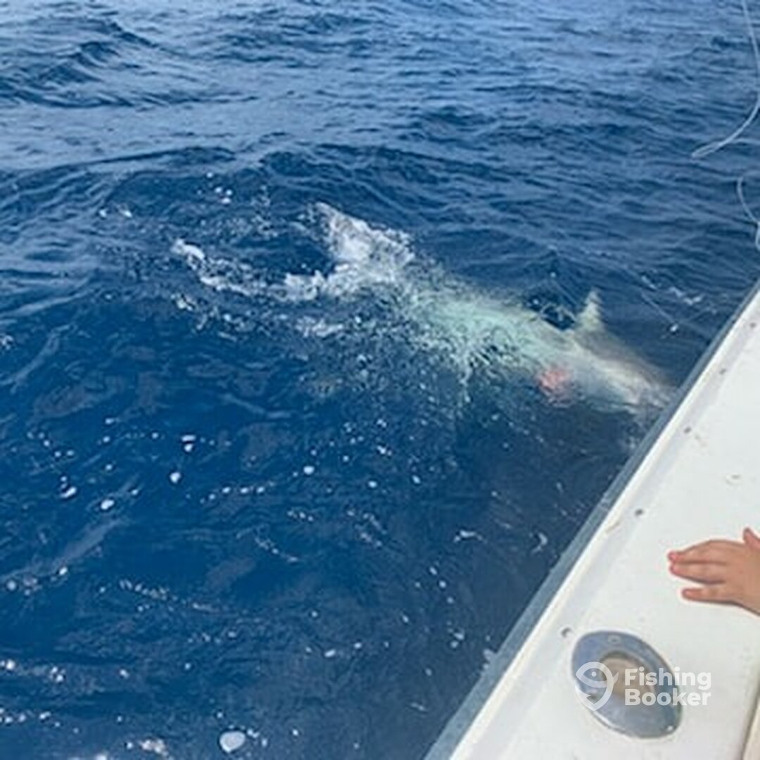 West Palm Beach Report Photo 0