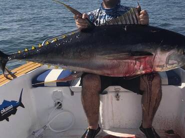 Fujairah Report Photo 2