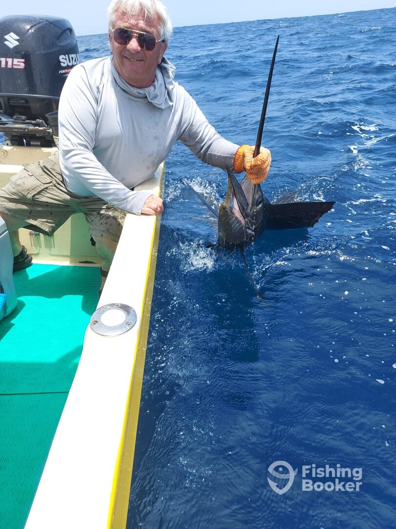 Sailfish!