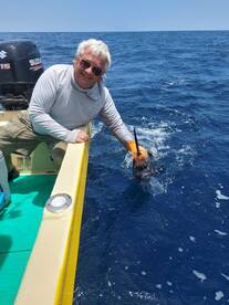 Sailfish!