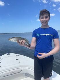 Holmes Beach Report Photo 2