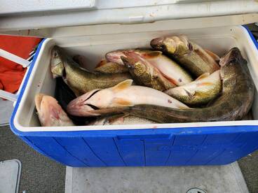 Warm weather got the fish going good.