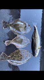 Inshore fishing