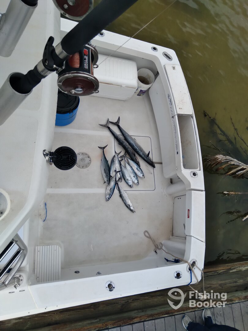 Niceville Report Photo 0