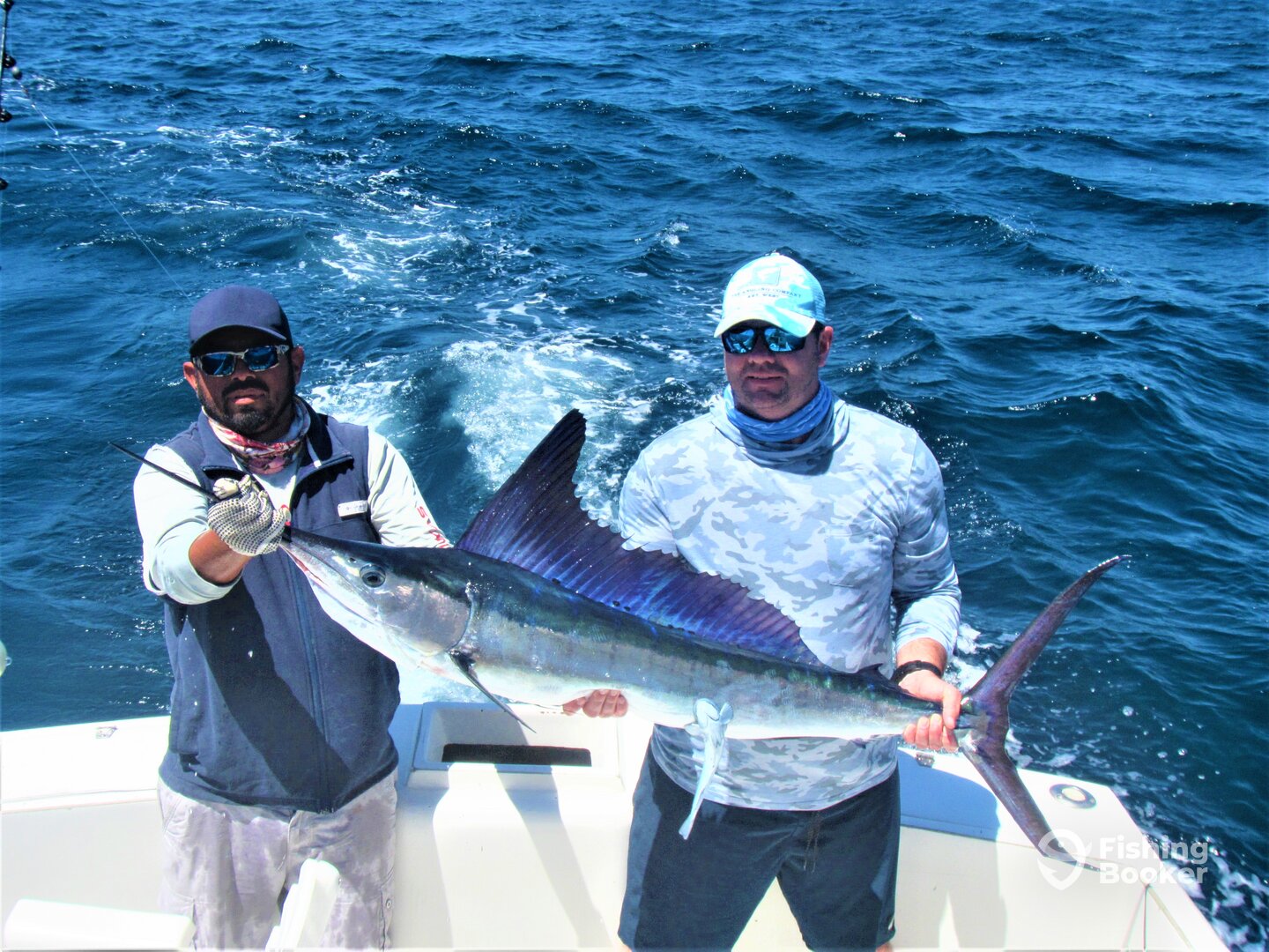 Cabo San Lucas Report Photo 0