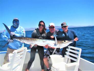 Cabo San Lucas Report Photo 1