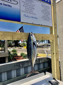 Living Right Fishing Charters