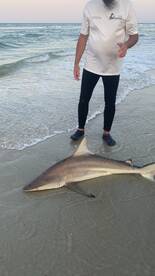 New Smyrna Beach Report Photo 2
