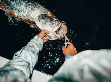 Tarpon Season Has Begun!!!