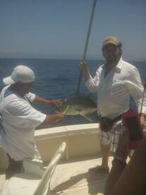 jacks along the shore