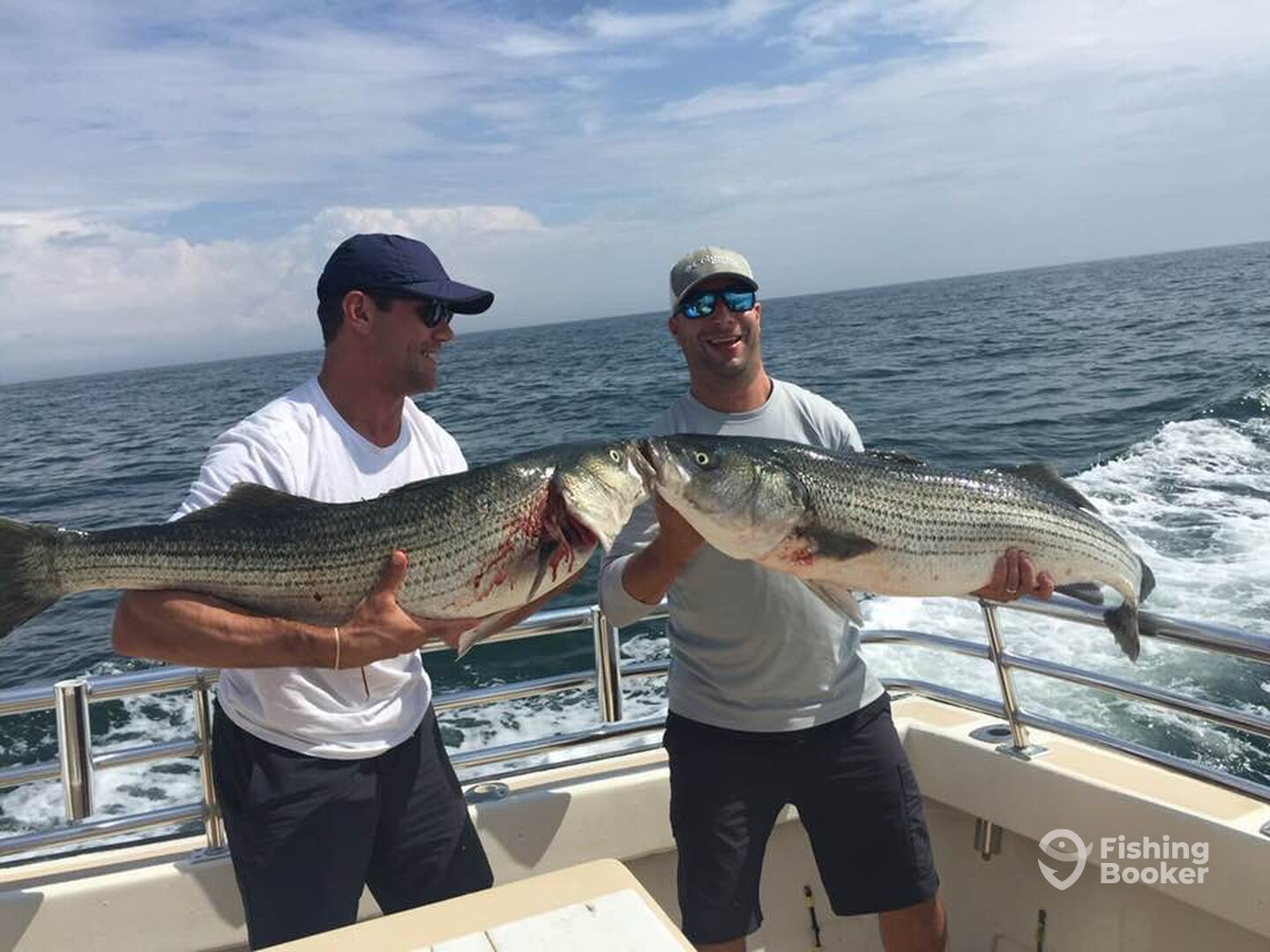 Montauk Report Photo 0
