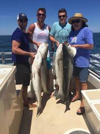 Montauk Report Photo 1
