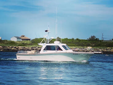 Montauk Report Photo 2