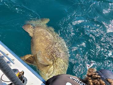 Clearwater Report Photo 2