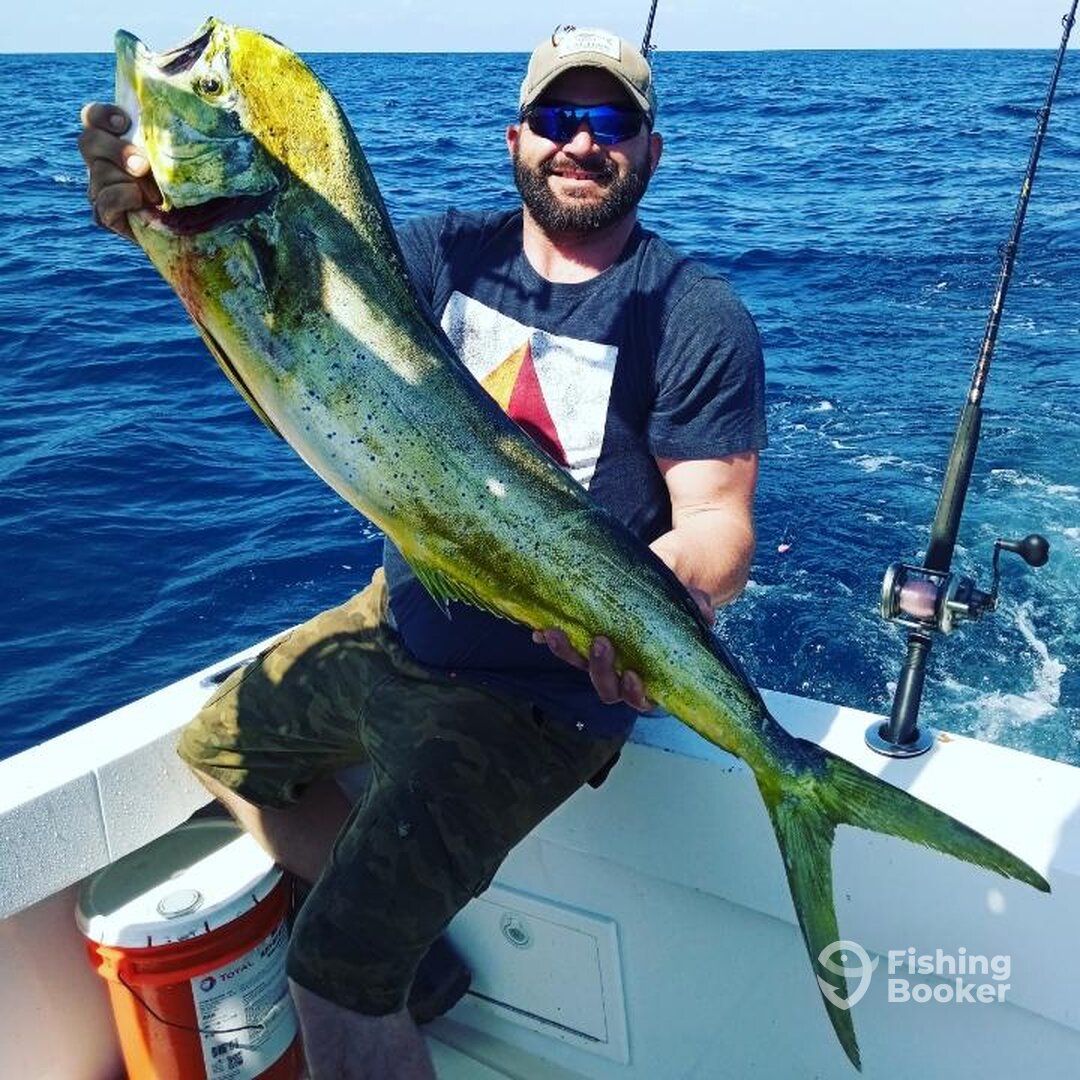 Port Canaveral Report Photo 0