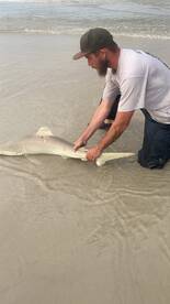New Smyrna Beach Report Photo 2