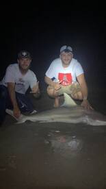 New Smyrna Beach Report Photo 1