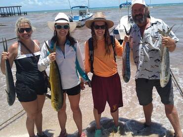 Big school of mahi mahi 