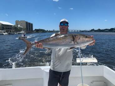 The Giant Fish are Biting