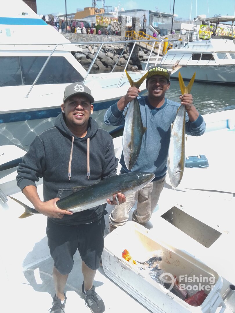 Ensenada Report Photo 0