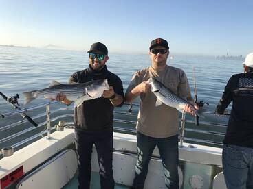 San Francisco Report Photo 2