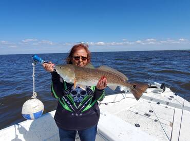 Now is the time to book us!