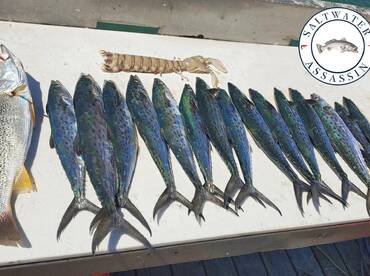 Murrells Inlet Report Photo 2