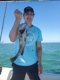 Bay Pines Report Photo 2