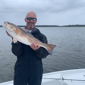 Isle Of Palms Report Photo 1