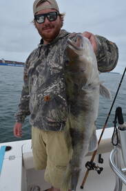 Great Local Bass Fishing