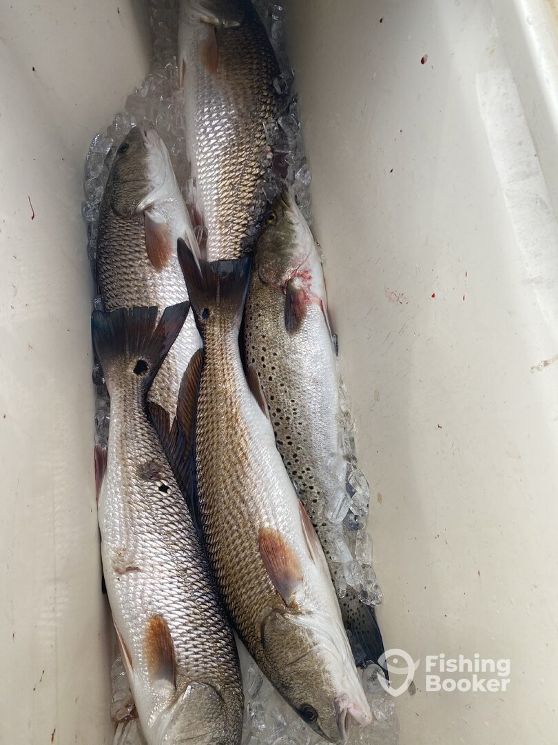 Wanchese Report Photo 0