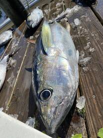 Hatteras Report Photo 2