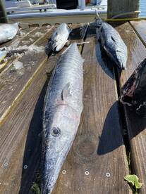 Hatteras Report Photo 1