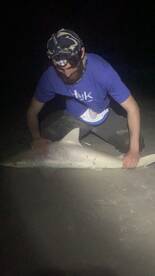 New Smyrna Beach Report Photo 2