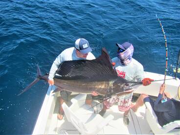Cabo San Lucas Report Photo 1