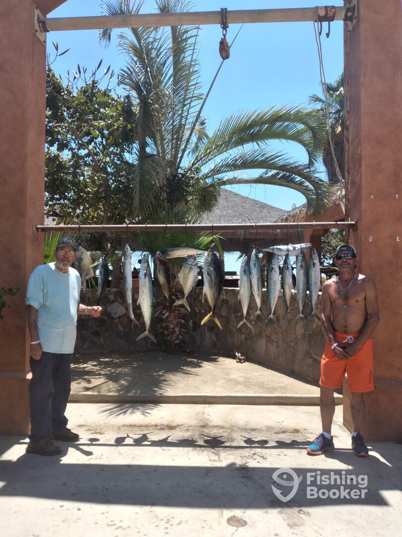 San Jose del Cabo Report Photo 0