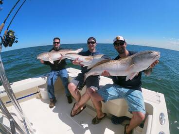 Gloucester Point Report Photo 2