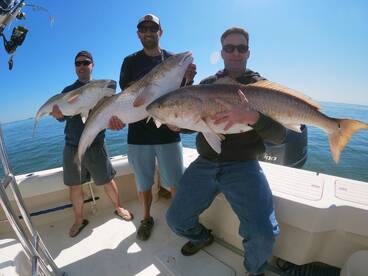 Gloucester Point Report Photo 1