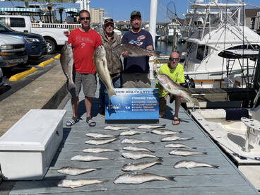 Virginia Beach Report Photo 1