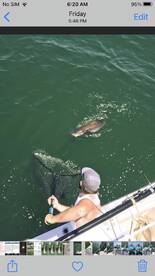 6/5/21 AM Trip 4 hr.le