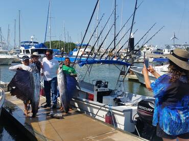 Couple of Sailfish and Jacks