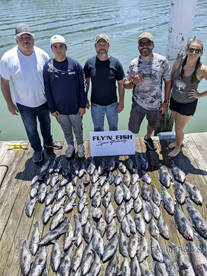 Seabass season opens with a bang